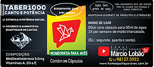 TABER1000 canto e potência, • estimula a potência sexual dos machos • favorece o aumento na quantidade de cantos. 36 cápsulas Tratamento individual durante 90 dias.