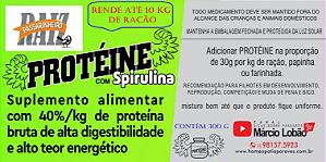 PROTÉINE 40%/kg de proteínas brutas de alto valor Biológico, um Suplemento Alimentar com SPIRULINA, de alta digestibilidade e alto teor energético. 300g