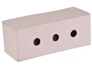 transporte de papelão para pássaros de pequeno porte, ideal para viagens curtas, canário, coleiro, bigodinha...