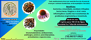 FORTIMUNE. Esta tintura é uma combinação poderosa de três componentes naturais que oferecem inúmeros benefícios tanto para humanos quanto para aves.
