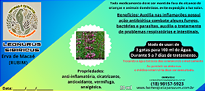 Erva de Macaé. Rubim (Leonurus sibiricus) com propriedades anti-inflamatórias, cicatrizantes e antioxidantes. É muito utilizada no Brasil para tratar resfriados, bronquites, reumatismos, distúrbios menstruais, vômito e diarreias.