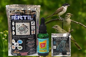 🏆 Kit Alto Rendimento e Performance – Energia, Disposição, Saúde e Vigor para Torneio de Canto e Fibra para Aves Competidoras.