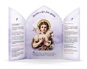 Livro Capelinha De São João Batista
