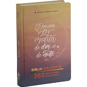 Livro Bíblia Dia E Noite Naa - 365 Dias E Noites Com A Palavra ...