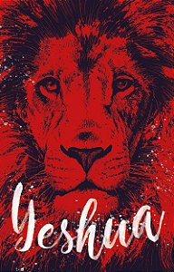 Livro Bíblia ARC 860 Rei Yeshua - Letra Normal: Almeida R...