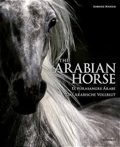 Livro The arabian horses