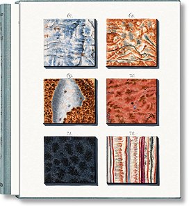 Livro Jan christiaan sepp. the book of marble: the book of marb...