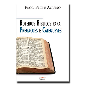 Livro Roteiros Bíblicos Para Pregações E Catequeses
