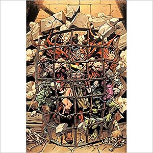 Livro Superman 13/71