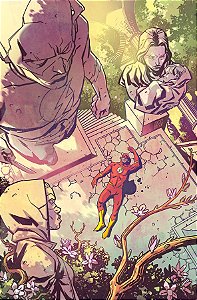 Livro Mulher-maravilha/flash 07