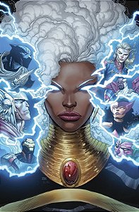 Livro Os Vingadores 17/74