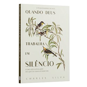 Livro Quando Deus Trabalha Em Silêncio - Como Deus Atua Além Do...