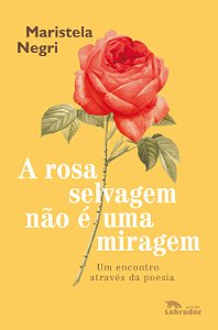 Livro A rosa selvagem não é uma miragem: Um encontro atra...