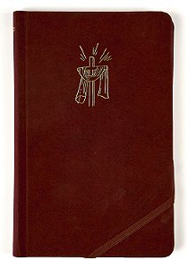 Livro Bíblia Sagrada Slim - Nvi, Luxo, Tecido Cereja Sobr...