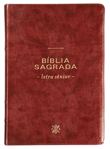 Livro Bíblia Nvi, Letra Sênior, Couro-Soft Vinho, Leitura Perfe...