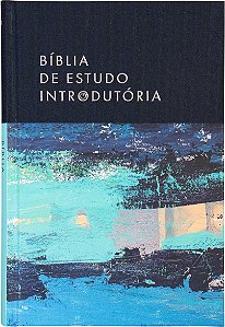 Livro Bíblia De Estudo Introdutória, Nvi, Capa Dura Com Tecido ...