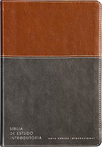 Livro Bíblia De Estudo Introdutória, Nvi, Couro-Soft Marrom E C...