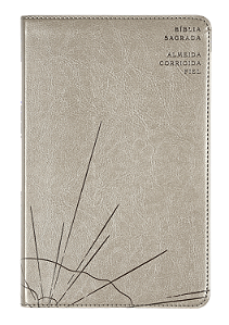 Livro Bíblia Sagrada Slim Acf - Luxo - Cinza