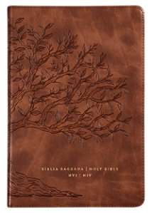 Livro Bíblia Bilíngue Nvi/Niv, Português/Inglês, Couro-Soft, Ca...