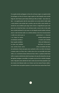 Livro A Imensidão No Furo Da Palavra
