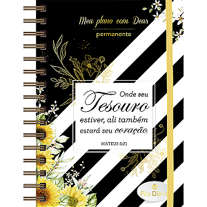 Livro Meu Plano Com Deus - Tesouro