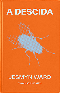 Livro A descida: Um romance