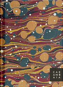 Livro Aforismos – Escritores e seu ofício: Planner – Modelo 4