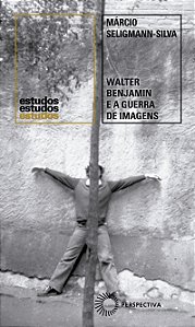 Livro Walter Benjamin e a Guerra de Imagens