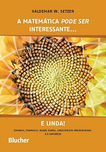 Livro A matemática pode ser interessante... e linda!: esp...