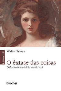 Livro O êxtase das coisas: o destino imaterial do mundo r...