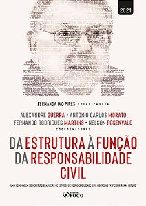 Da Estrutura à Função da Responsabilidade Civil