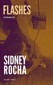 Livro Flashes: romance