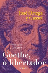 Livro Goethe o libertador: e outros ensaios