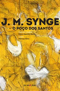 Livro O poço dos santos