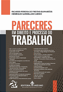 Livro Pareceres em direito e processo do trabalho (Volume...