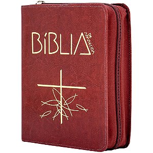 Livro Biblia De Aparecida Media - Ziper Marrom