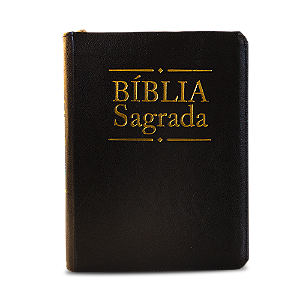 Livro Biblia sagrada dourada preta