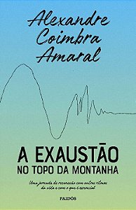 Livro A exaustão no topo da montanha: Uma jornada de reco...
