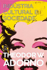 Livro Indústria cultural e sociedade