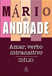 Livro Amar, verbo intransitivo