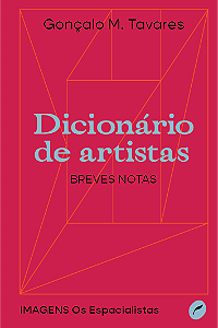 Livro Dicionário De Artistas - Breves Notas