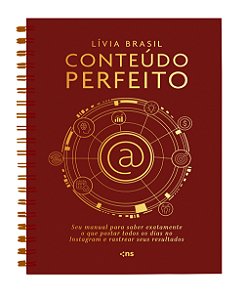 Livro CONTEÚDO PERFEITO - Seu manual para saber exatamente o qu...