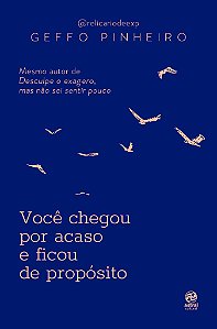Livro Você Chegou Por Acaso E Ficou De Propósito