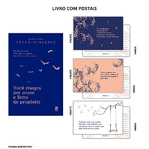 Livro Você Chegou Por Acaso E Ficou De Propósito - + Brin...