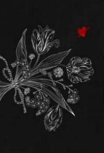 Livro Box - Crônica De Uma Morte Anunciada