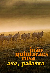 Livro Ave, Palavra