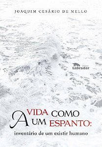Livro A vida como um espanto: inventário de um existir hu...