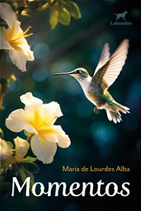 Livro Momentos