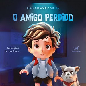 Livro O Amigo Perdido