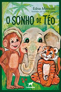 Livro O Sonho De Téo